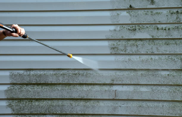 Best Gutter Cleaning  in West Blocton, AL